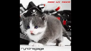 Rymdreglage - Ride My Tiger
