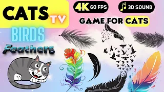 CAT TV - Birds Feathers 🪶 Toys For Cats 🙀📺🐭🪳 4K 🔴 60fps [CATS GAME]🙀🙀 NO ADS