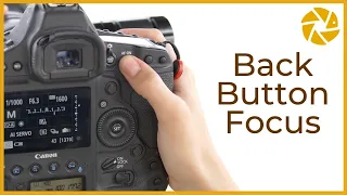 What is BACK BUTTON FOCUS? Why it's a winner for WILDLIFE PHOTOGRAPHY. TUTORIAL.