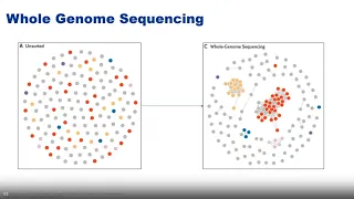 WEBINAR - Real-time Whole Genome Sequencing Surveillance for Healthcare Outbreak Detection and...