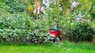 Vehicle was HIDDEN in the OVERGROWN YARD, WAIT UNTIL YOU SEE WHAT ELSE I FOUND!