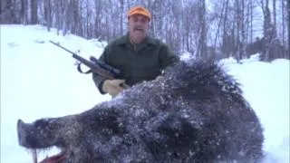 Russian Boar One Shot Kill In Blizzard