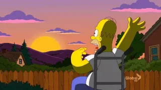 The Simpsons : Paralytic spider homer