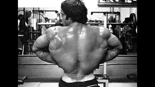 The Rear Lat Spread *Whose was the Best?*