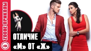 Смешная Зайка Zoobe :) Чем отличается мужчина от женщины?