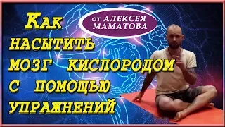 Головной мозг.  Очищаем сосуды, насыщаем кислородом, тренируем