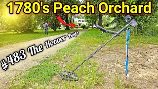 Metal Detecting a 1780's PEACH ORCHARD for Lost OLD Coins