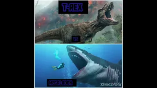 Megalodon vs T-Rex who is the winner comment #trending #ytshortsindia #sharkskingdom