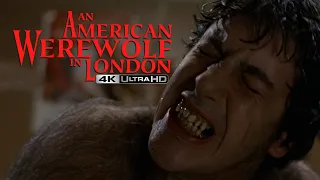 An American Werewolf in London 4K UHD - Transformation Scene | High-Def Digest