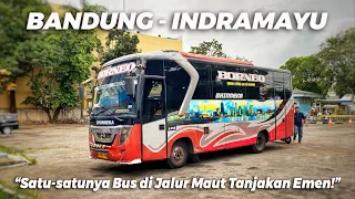 Masih Setia! Cuma Ada Dua Keberangkatan Tiap Harinya | Trip Bus BHINNEKA di Jalur Ekstrim Subang