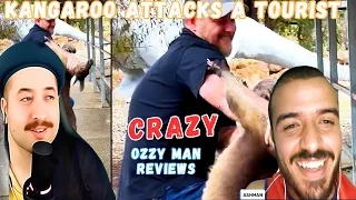 Kangaroo Attacks a Tourist - Ozzy Man Reviews Reaction