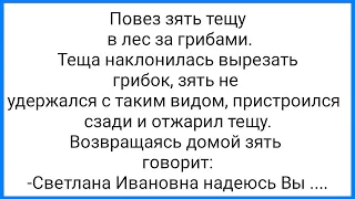 С@кс Зятя с Тёщей в Лесу и Позор с Маленьким Чл@ном!!! Смешная Подборка Анекдотов!!!