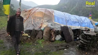 Very Relaxing Nepali Himalayan Village Life | Rainy day | Himalayan Shepherd Life in Dolpa | Nepal |