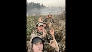 Duck Life Season 1 Episode 1