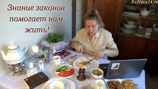 О мудрости житейской и о сумках в супермаркетах, за вечерним чаем с Н.Ахмедовой