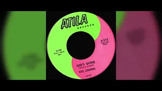 Eye Zooms - She's Gone (1966) [High Quality]