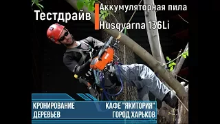 Тест Драйв: Аккум. пила Husqvarna T 536 Li XP, лучшая пила для арборизма