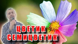 Цветик семицветик - Виктор Королёв (cover)