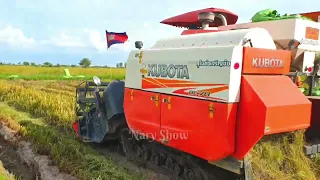 Fantastic Techniques Operator Kubota Combine Harvester Working In Deep Water At Rice Farms #001 2