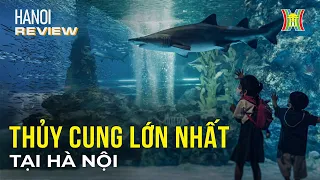 Khám phá thuỷ cung trong nhà lớn nhất tại Hà Nội | Hanoi Review