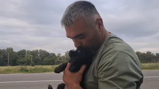 Бездомный щенок привёл нас к страшной находке/Голубей замуровали заживо