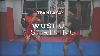 WUSHU | Basic Wushu Striking Techniques | Team Lakay Instructional