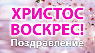 КРАСИВОЕ ПОЗДРАВЛЕНИЕ С ПАСХОЙ! Христос Воскрес! Видео открытка 2020