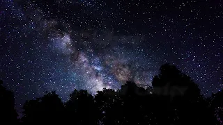 Milky way and Starry Night Timelapse Collection 4K