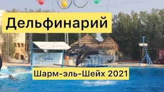 Шарм-эль-Шейх 2021./ДЕЛЬФИНАРИЙ/Dolphin/ШОУ С ДЕЛЬФИНАМИ.