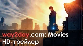 Фантастические твари и где они обитают – Русский трейлер 2016, HD