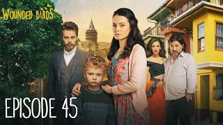 Wounded Birds - Episode 45 - [Multi Lang. Subtitles] Turkish Drama | Yaralı Kuşlar 2019