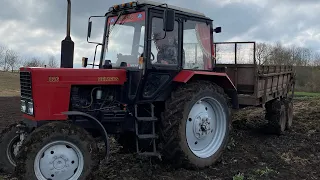 МТЗ vs Гній, хто кого⁉️вивіз органіки після дощу// було важко, але МТЗ витягнув❗️