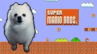 SUPER MARIO BROS em CACHORRÊS | NOSTALGIA