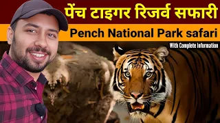 Pench National Park | Pench Jungle Safari | Pench Tiger Reserve | How to book Pench Safari online