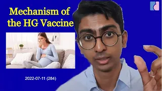 Hyperemesis Treatment: Mechanism of the HG Vaccine - Antai Hospitals