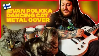 Cat Vibing To Ievan Polkka (Metal Version) - Danny Metal