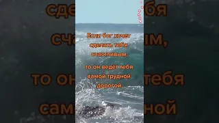 Хорошего дня и отличного настроения!