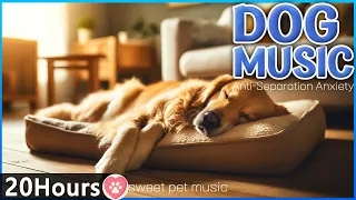 20 hours of Dog Calming Music for Dogs🐶💖Anti Separation Anxiety Relief Music🎵Dog Sleep Meditation