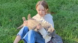 Houston woman helps Ukrainian girl reunite with cat