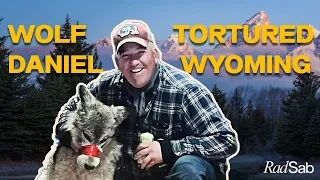 The Dark Side of Wyoming's Wildlife Laws: How a Wolf's Tragic End Exposes Flaws