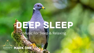 Meditation music, ocean waves for sleeping