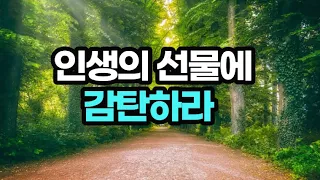 하루에 한 걸음씩 단순하게 조금 더 행복해지는 습관 / 딱 한 걸음의 힘 / 책데이트 책읽어주는 책영상