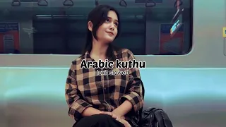 Arabic Kuthu | Slow + Reverb | 💞 | Vijay | Lofi mix | Pooja Hegde | SK | loxit slowed
