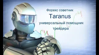 Помощник трейдера форекс советник Taranus