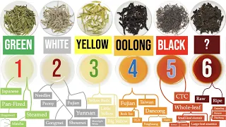 Discover the 6 Tea Types and a WORLD of Awesome Tea Sub-Types | Masterclass on Tea Ch. 1 of 8