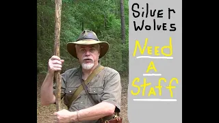 SILVER WOLVES  NEED WALKING STICKS