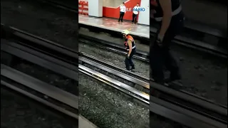 Rescatan a gallina de las vías en Línea 9 del Metro CdMx