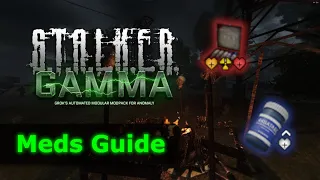 The MEDS Guide For STALKER GAMMA