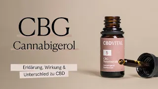 CBG (Cannabigerol) - Erklärung, Wirkung & Unterschied zu CBD