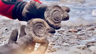 Hammer Method Used To Crack Open Perfect Fossils! | Fossil Hunter